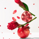 DRTTG_1_4113430a-6068-4c83-820b-2a9504fc7810.png