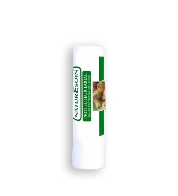 LABIAL.png LABIAL.png