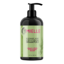 SHAMPOO2.png