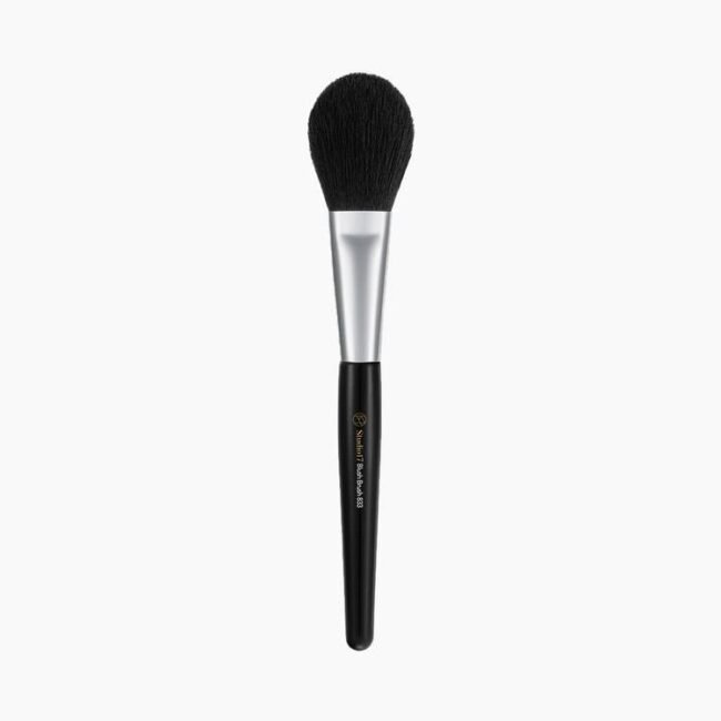 images_2FStudio17_2F8809724700218_2Fproduct_2Flarge_2FBlush-Brush.jpg